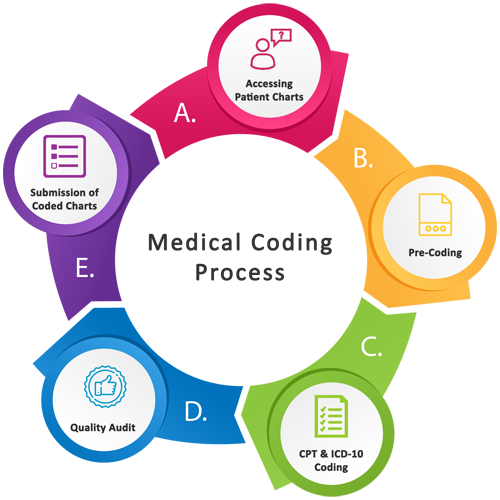 What Is Medical Coding For Beginners?